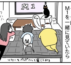Ｍ１を知る息子