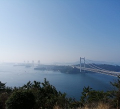 がんばりが報われた気がする