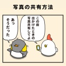 写真の共有方法