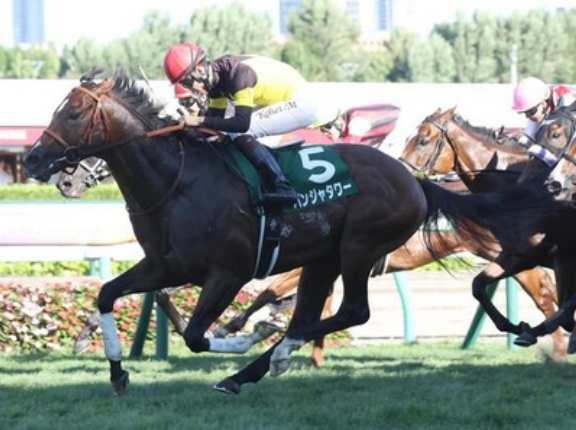 サウジのパンジャタワーとは何だったのか