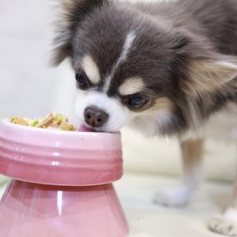 まだ、元気がなかった夜と、いつものまりちゃんが戻った朝