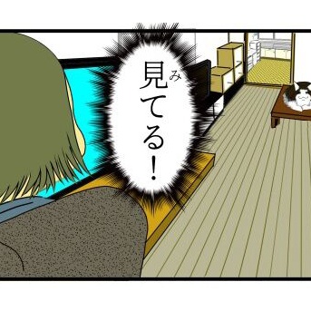 【猫との暮らし】視線を感じる時