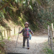 植物園で、写真の原点に立ち返った話（＆お知らせ）