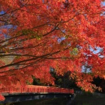 風景写真家・西川貴之の気まぐれブログ