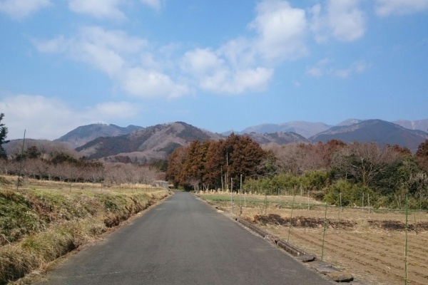 だめサラリーマンの報告書 18年02月