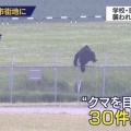 【悲報】クマさん、岩手に5200頭存在する
