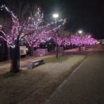 狭山池ロングラン練習会