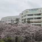 旅好き編集ライターの日常