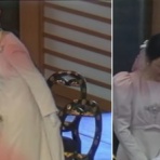 日本の皇室と世界の王室