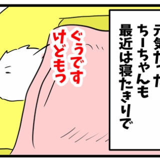 ちーちゃんっ🐾