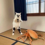 『ミチル写真撮って出し』の画像