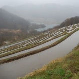 『晴れの日も、雨の日も』の画像