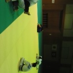 鳥取、大山町と米子のブラジリアン柔術道場