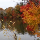 Vol.5099 タリアセン