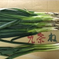 鷹峯葱