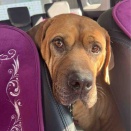 はぁぁぁ。。。