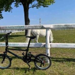 自転車始めました。