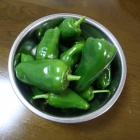 『11月、やっと涼しくなった庭の野菜トマト・ピーマン・ゴーヤの記録』の画像