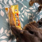 メルロコ一家の横須賀ストーリー