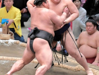 横綱大関、全敗