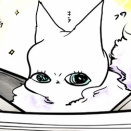 お嬢さま猫🐈デラウェアちゃん 4/10