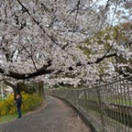 きょろきょろの日記