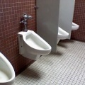 女子小便器設置案に対して女性の声　「踏ん張ったらウ●チも出てくる」「予め大小決めてトイレに行くわけではない」