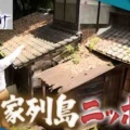 「ガイアの夜明け」を見て