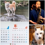 たそがれゴルファーのライブ情報