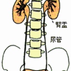 海彦・山彦の白秋日記