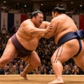 琴櫻の副賞は和牛一頭分！パリ公演総合優勝で贈られた“規格外”の賞品に会場沸く