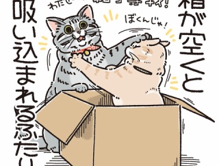 喜ぶと思ったのに