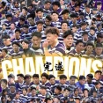【大学ラグビー】　第62回全国大学ラグビー選手権大会（2025）決勝 : 明治 vs.早稲田 試合結果