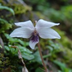 農工植研ブログ