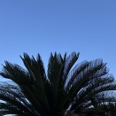 Today is Spanky's regular rihabilitation works！(^_^)