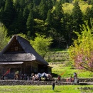 2026.4.22　一枚の彩時季