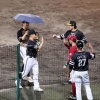 パ・リーグの外野手、試合中にイチャつく 	