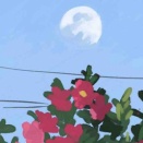 日記というか一言メモをつける