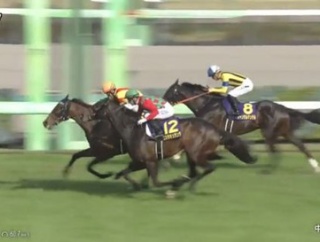 【競馬】ジャスティンミラノ　初年度から種付け頭数202頭を集める