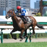 『【遠征結果】③ミリオンクラウン(牡2=田中淳司厩舎)が札幌2歳S権利獲得の2着! コスモス賞遠征レポート』の画像