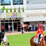 ●まじで競馬に独り言●
