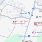 歩き猫