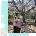 🌸お花見🌸