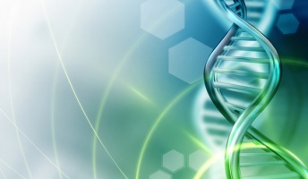 生命科学の問題出していく【全20問】