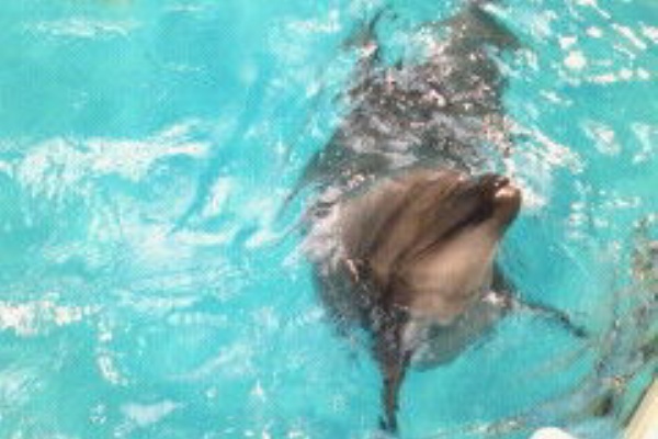 まり乃ママのブログ