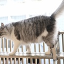 梅雨の休暇