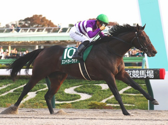 【競馬予想】[1]第40回根岸ステークス(GⅢ) /2026