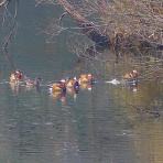 く～ちゃんの自然観察記