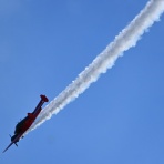青い郊外の空の下・黄色と緑のセロファンの花たち