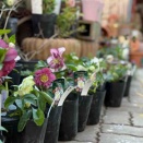 あるんだもん！！